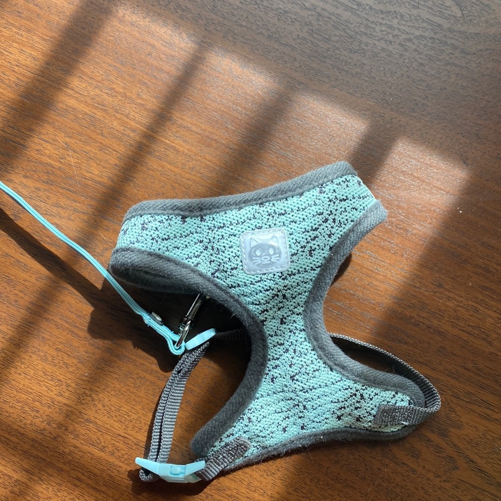 Cat harness and leash